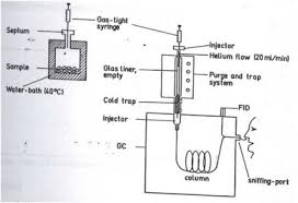 Image result for  g   c O ~