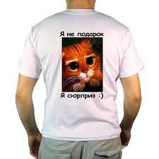 Image result for Фото ра футболку