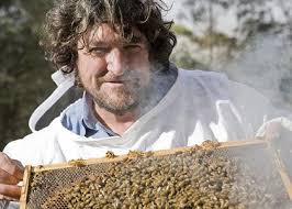 The buzz... Denis Anderson with honey bees in a clip from &quot;Honeybee Blues&quot; by award-winning director Stefan Moore. Photo: Supplied - bee212-420x0