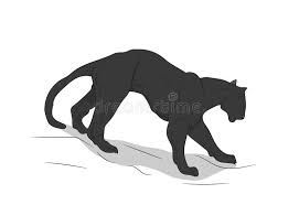 Afbeeldingsresultaat voor panters