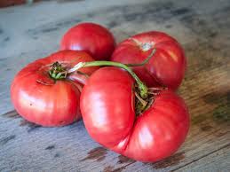 Afbeeldingsresultaat voor Pink Brandywine tomato