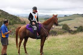 Image result for Woodhill Riding Club