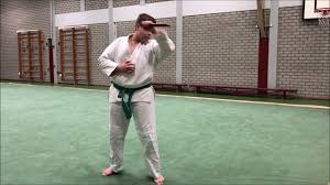 Image result for Bushin Kenpo Kai Schools