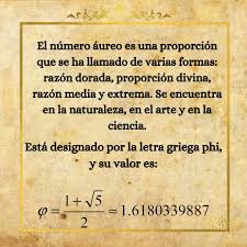 Image result for numero aureo