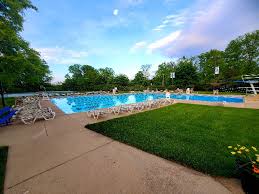 Image result for Box Hill Swim Team