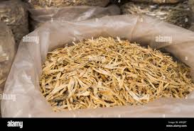 Attēlu rezultāti vaicājumam “Charales”