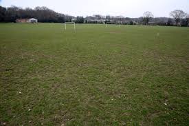 Image result for Broadstone Cricket Club