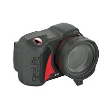 Attēlu rezultāti vaicājumam “Licea minima macro”