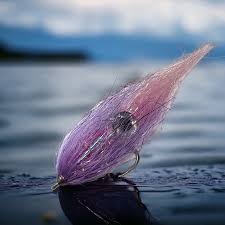 Image result for skiptondivers