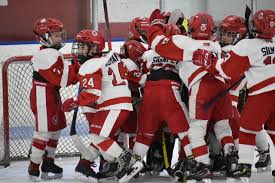 Image result for Perth Junior Ice Hockey Club