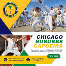 Image result for Capoeira Classes