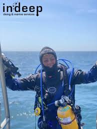 Image result for Plymouth Aquanauts