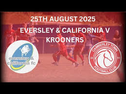 Image result for Camberley Ladies Football Club