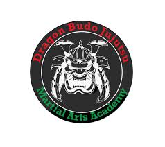 Image result for Budo Warrior Schools