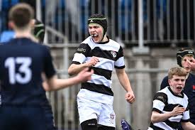 Image result for Belvedere Park Junior Football Club