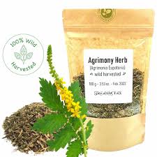 Image result for Agrimonia eupatoria