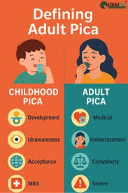 Attēlu rezultāti vaicājumam “Pica pica adult”