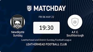 Image result for Newdigate F C