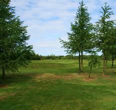 Image result for Accrington & District Golf Club