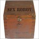 The First Talking Sex Robot: A (Terrified) User Review | Cracked.