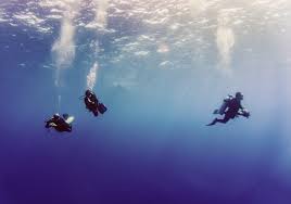 Image result for Southdown Divers