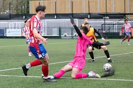 Image result for Banstead Athletic Fc