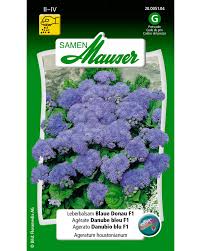 Image result for Leberbalsam