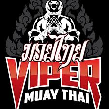 Image result for Vipers Thai/Kickboxing School