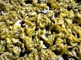 Attēlu rezultāti vaicājumam “Nostoc commune”