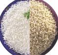 Food therapy: white or brown rice? | Lands of Wisdom