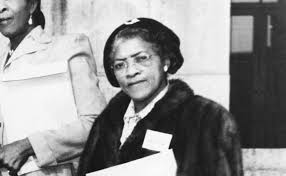 Attēlu rezultāti vaicājumam “Diderma testaceum young”