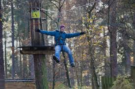 Image result for The Go Ape Experience (Swinley Forest)
