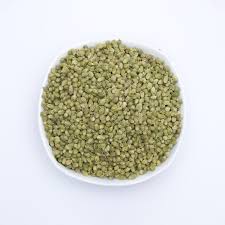 Attēlu rezultāti vaicājumam “Origanum vulgare bud”