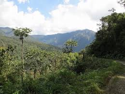 Výsledek obrázku pro yungas