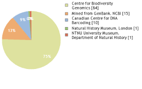 Attēlu rezultāti vaicājumam “Proutia betulina”