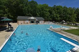 Image result for Calverton Swimming Club