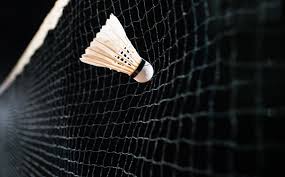 Image result for Howard Badminton Club