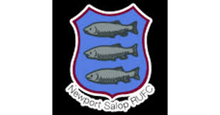 Image result for Newport (Salop) Cricket Club
