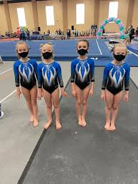 Image result for Newton Abbot Somersaults Gc
