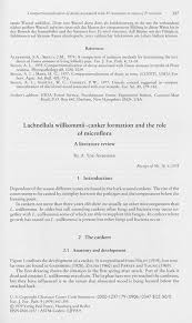 Attēlu rezultāti vaicājumam “Lachnellula willkommii”