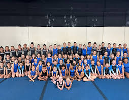 Image result for Goring Gymnastics Club
