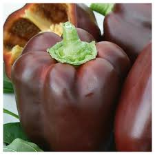 Afbeeldingsresultaat voor chocolate beauty sweet pepper