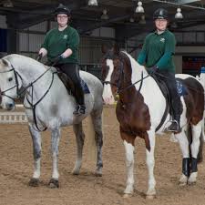 Image result for Scottish Equi Complex