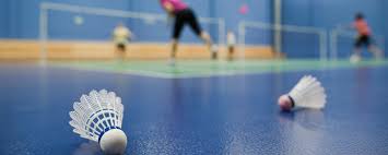 Image result for Severn Vale Badminton Club