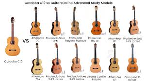 Image result for guitar