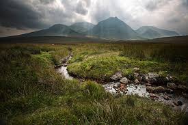 Image result for Scottish Rocks