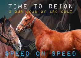 Image result for Bletchingly Badminton Club