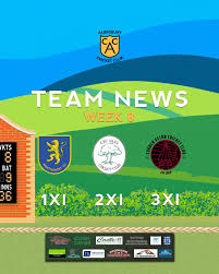 Image result for Alberbury Cricket Club