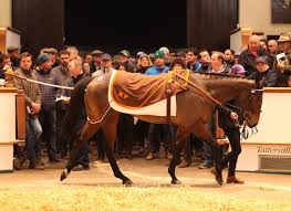 Image result for Elite Racing Club