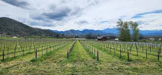 Image result for wiedenmann tehron